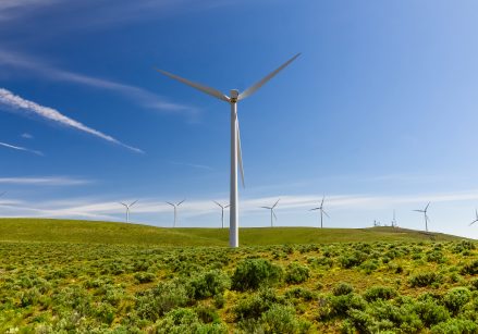 Windmill in a field.